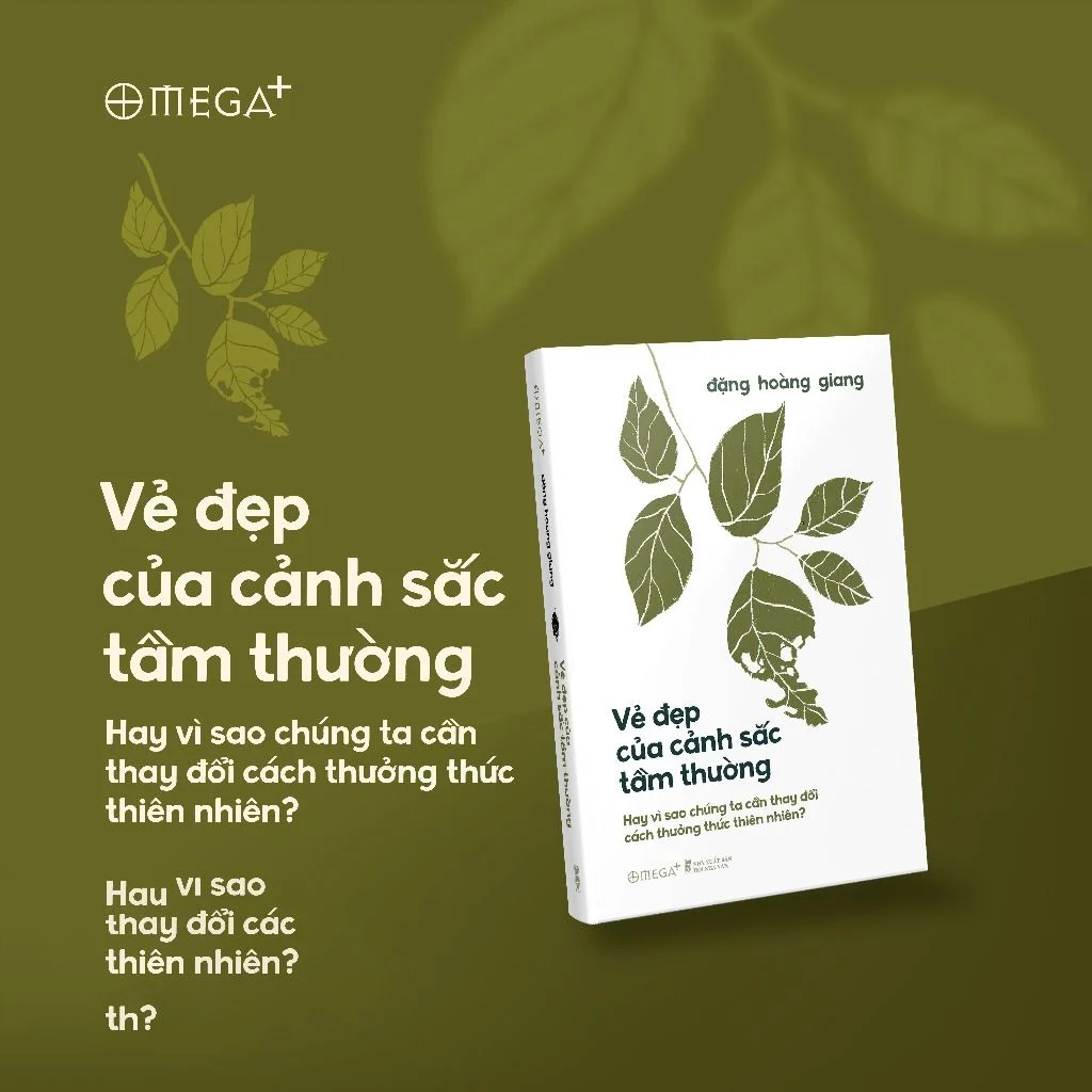 Vào áo áo của các cơn sóng tầm thường - phần 2